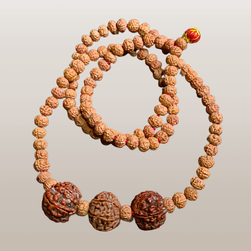 Is it Possible to Wear 6 Mukhi Rudraksha with 4 Mukhi Rudraksha?