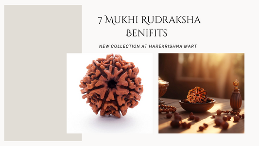 Strengthening the Mind-Body Connection with 7 Mukhi Rudraksha