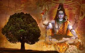 Rudraksha Benefits as per the Shiva Mahapuran: