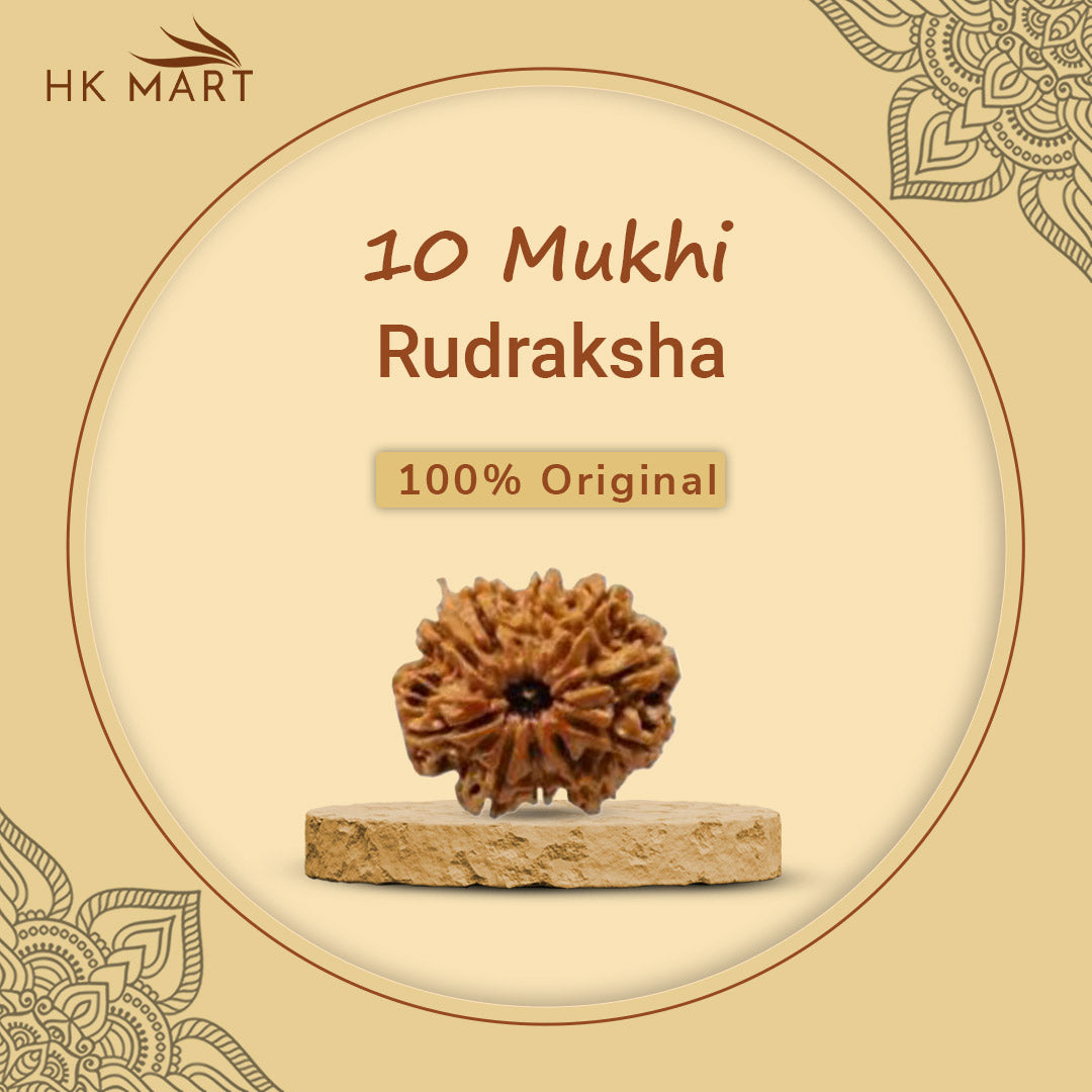 10 Mukhi Rudraksha (Nepal) | 10 Mukhi Rudraksha Original | 10 Mukhi Rudraksha Price | 10 Mukhi Rudraksha Benefits | 10 Mukhi Rudraksha Mala | 10 Mukhi Rudraksha Bracelet | 10 Mukhi Rudraksha Pendant