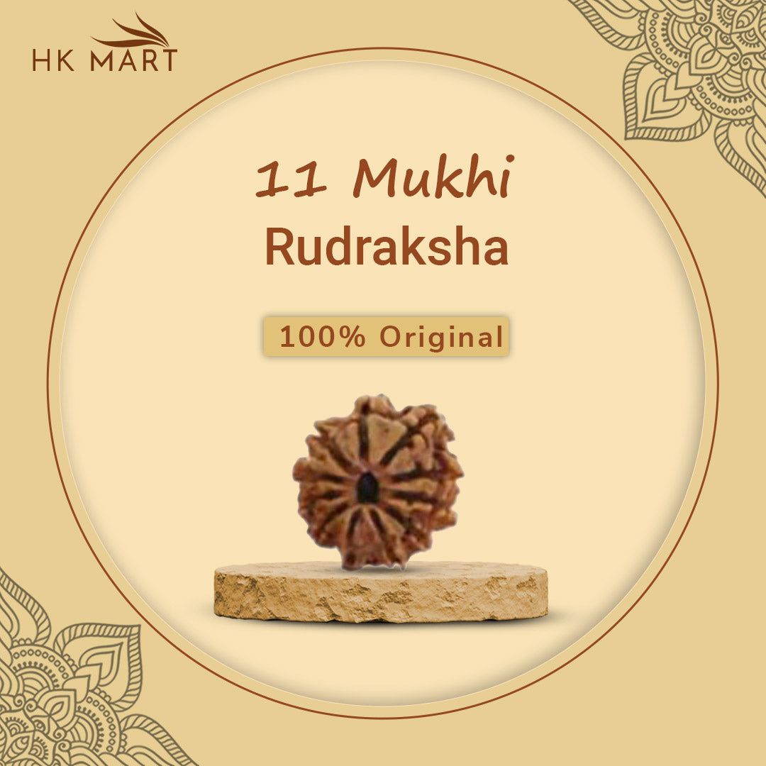 11 Mukhi Rudraksha (Nepal) | 11 Mukhi Rudraksha Original | 11 Mukhi Rudraksha Price | 11 Mukhi Rudraksha Benefits | 11 Mukhi Rudraksha Mala | 11 Mukhi Rudraksha Bracelet | 11 Mukhi Rudraksha Pendant