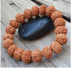 11 Mukhi (Nepali) Rudraksha Bracelet| Bracelet For Men| Bracelet For Women| Bracelet For Money And Success|