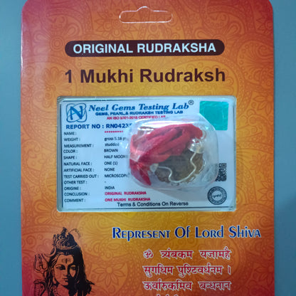 1 Mukhi Rudraksha Pendant | 1 Mukhi Rudraksha | 1 Mukhi Rudraksha Benefits | 1 Mukhi Rudraksha Price