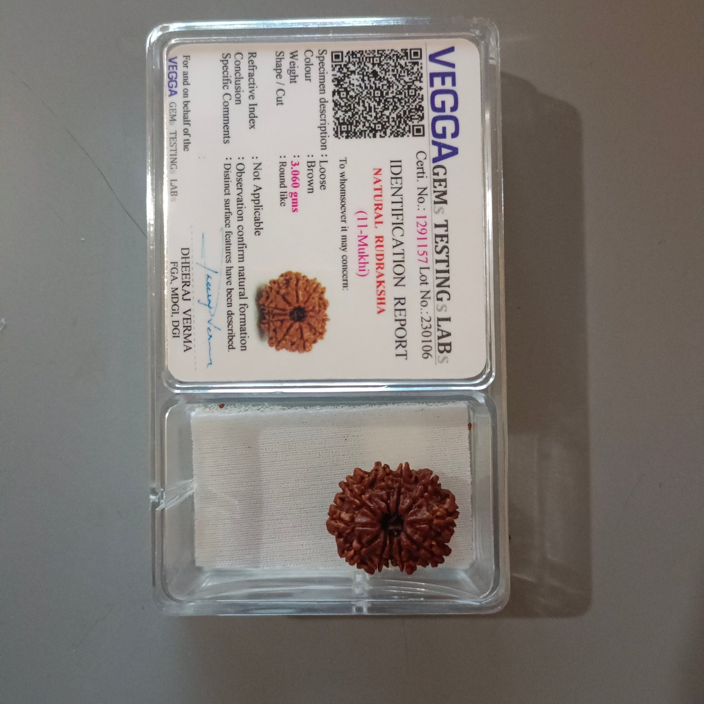 11 Mukhi Rudraksha (Nepal) | 11 Mukhi Rudraksha Original | 11 Mukhi Rudraksha Price | 11 Mukhi Rudraksha Benefits | 11 Mukhi Rudraksha Mala | 11 Mukhi Rudraksha Bracelet | 11 Mukhi Rudraksha Pendant