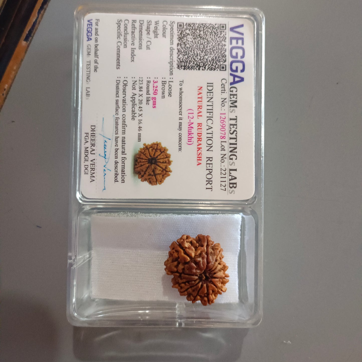 12 Mukhi Rudraksha (Nepal) | 12 Mukhi Rudraksha Original | 12 Mukhi Rudraksha Price | 12 Mukhi Rudraksha Benefits | 12 Mukhi Rudraksha Mala | 12 Mukhi Rudraksha Bracelet | 12 Mukhi Rudraksha Pendant