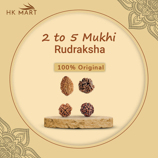 2 to 5 mukhi Rudraksha2 Mukhi Rudraksha (Nepal) | 2 Mukhi Rudraksha Original | 2 Mukhi Rudraksha Price | 2 Mukhi Rudraksha Benefits | 2 Mukhi Rudraksha Mala | 2 Mukhi Rudraksha Bracelet | 2 Mukhi Rudraksha Pendant
