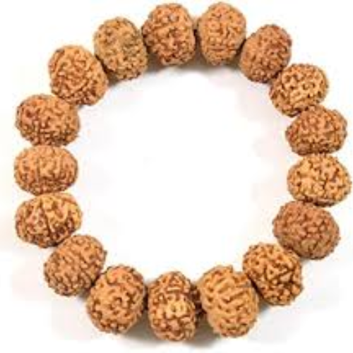 8 Mukhi (Nepali) Rudraksha Bracelet
