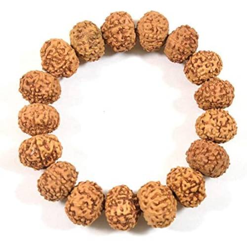 8 Mukhi Rudraksha Nepali