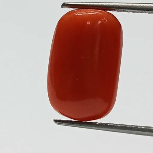 Red Coral Gemstone