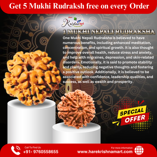 1mukhi rudraksha|1 mukhi nepali rudraksha |certified 1 mukhi rudraksha|original i mukhi nepali| 1 face rudraksha nepal| 1 mukhi rudraksha price| 1 mukhi rudraksha benefits|neplai rudraksha