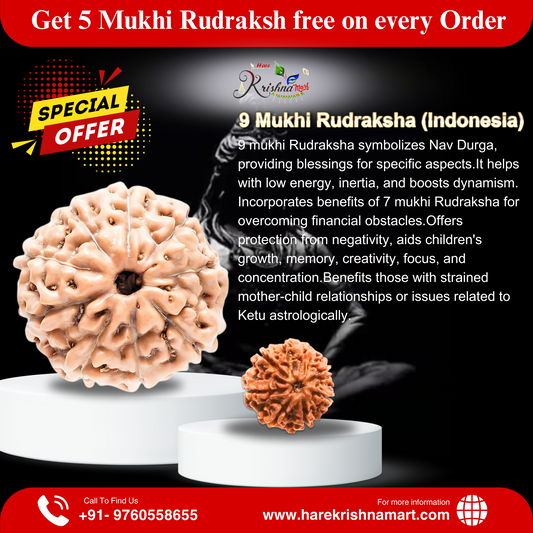 9 mukhi rudraksha|indonesia rudraksha|certified rudraksha|original rudraksha|9 mukhi rudraksha java|9 mukhi rudraksha benefits|9 mukhi rudraksha price | 9MukhiRudraksha
| Rudraksha | 9Mukhi | SpiritualHealing | DivineEnergy | MeditationBeads | SacredBeads | PowerfulRudraksha | PositiveVibes
| SpiritualGrowth | BlessingsOfGoddessDurga | MysticEnergy | HolyBeads
 | RudrakshaForStrength
| 9MukhiPower | InnerPeace | FaithAndHealing