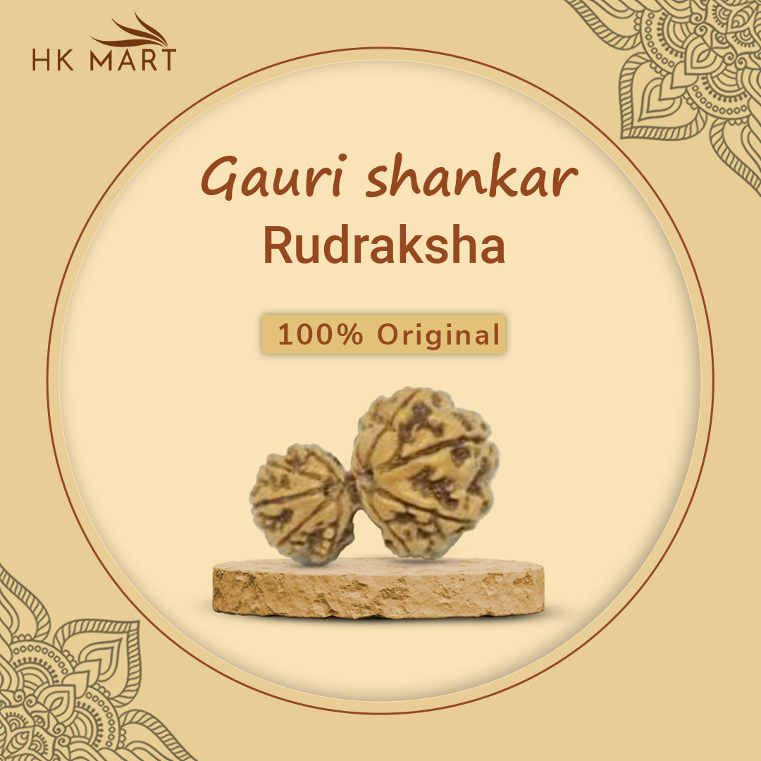 Gauri Shankar Rudraksha (Nepal) | Gaui Shankar Rudraksha Price | Gaui Shankar Rudraksha Benefit | Gaui Shankar Rudraksha Pendant | Gaui Shankar Rudraksha | Gaui Shankar Rudraksha Original