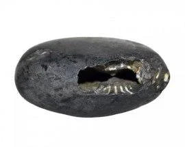 shaligram stone