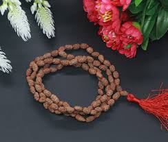 2 Mukhi Mala|2 MUkhi original mala|2Mukhi certified mala|2mukhi mala price|2 mukhi mala Benefits|2 face mala|2 face jaap mala|2 mukhi jaap mala|2 face prices| original 2 muki mala| jaap mala