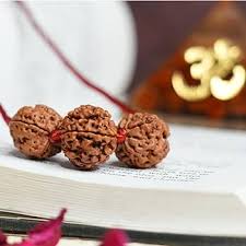rudrakshaforstudent|vidhykavch|vidhyarudraksha|rudrakshacombinationforstudent|Nepalirudraksha|certifiedrudraksha/|6mukhirudraksha|5mukhirudraksha|ganeshmukhirudraksha