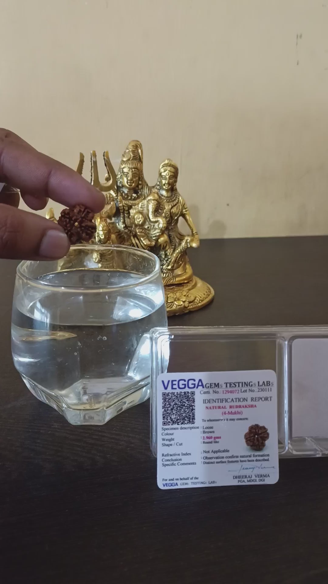 4 Mukhi Rudraksha4 Mukhi Rudraksha (Nepal) | 4 Mukhi Rudraksha Original | 4 Mukhi Rudraksha Price | 4 Mukhi Rudraksha Benefits | 4 Mukhi Rudraksha Mala | 4 Mukhi Rudraksha Bracelet | 4 Mukhi Rudraksha Pendant