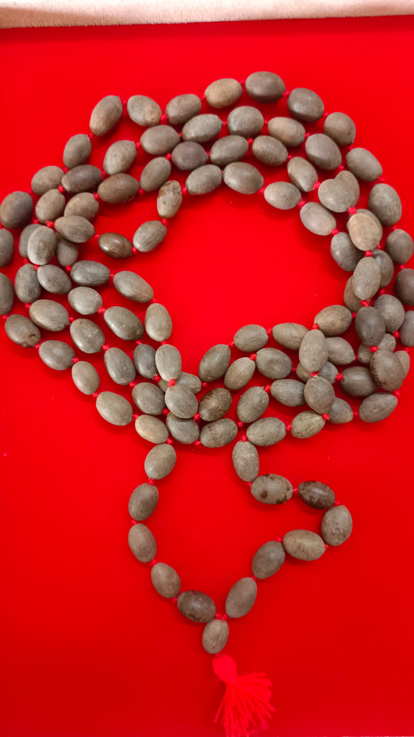 Combo of Energized Original Vaijayanti and Lotus Seeds Mala