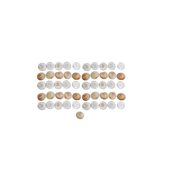 Gomati Chakra