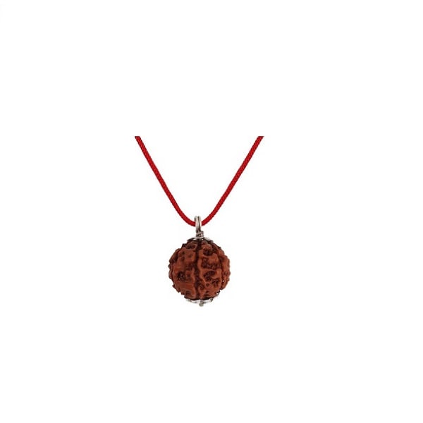 8 Mukhi Rudraksha Pendant | 8 mukhi rudraksha mala | 8 mukhi rudraksha bracelet