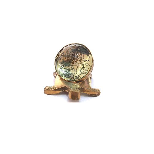 Brass Tortoise