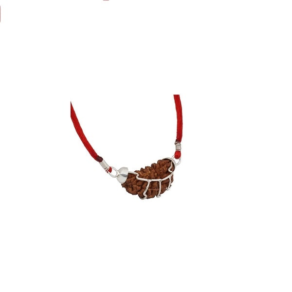 1 Mukhi Rudraksha Pendant | 1 Mukhi Rudraksha | 1 Mukhi Rudraksha Benefits | 1 Mukhi Rudraksha Price|original 1 mukhi rudraksha |certfied 1 mukhi rudraksha |one mukhi rudraksha|1 face rudrasha|1 face rudraksha price|one mukhi rudraksha|original 1 mukhi rudraksha|original 1 mukhi rudraksha | rudraksha | nepali rudraksha
