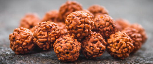 buy rudraksha online