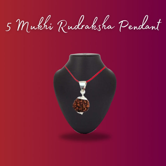 Knowledge of 5 Mukhi Rudraksha Pendant Before Wearing