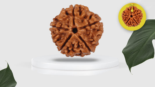 Harnessing the Power of the Panchmukhi Rudraksha: Unfold Inner Tranquility