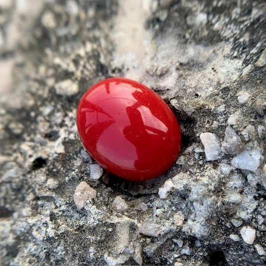 Red Coral Stone