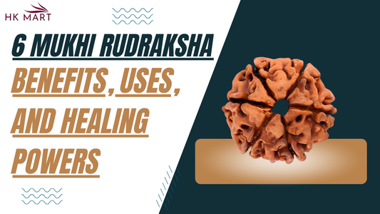 6 Mukhi Rudraksha: Benefits, Uses, and Healing Powers