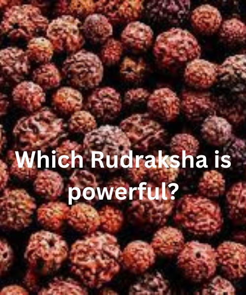 One Mukhi Rudraksha