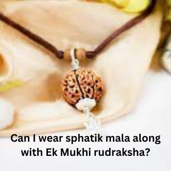 Ek Mukhi Rudraksha