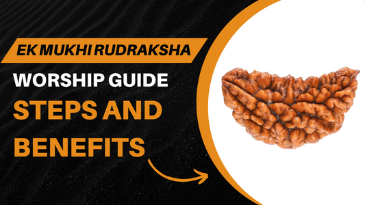 Ek Mukhi Rudraksha Worship Guide: Steps and Benefits