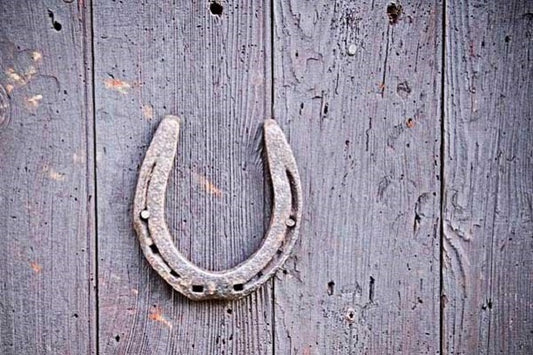 Black Horse Shoe Is Miraculous, Know Its Benefits