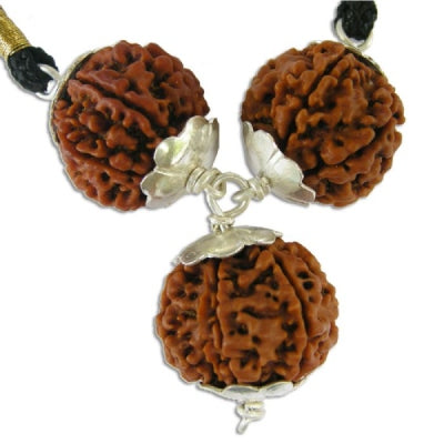 7 mukhi rudraksha pendant