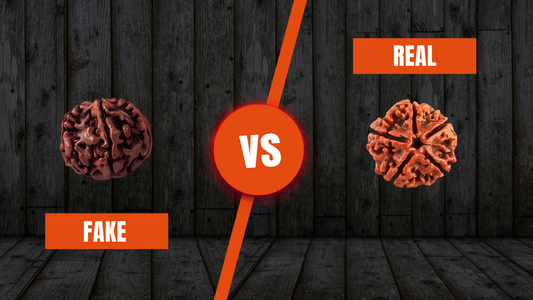 Rudraksha Secrets Revealed Real vs Fake Beads