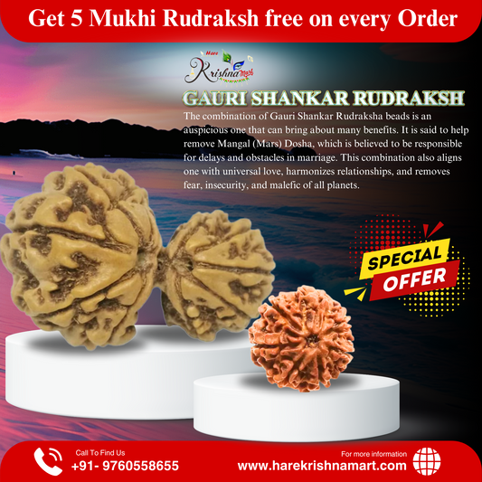 7 mukhi rudraksha