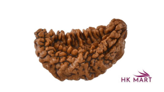 Certified 1 mukhio Rudraksha : Positive energies with Benefits