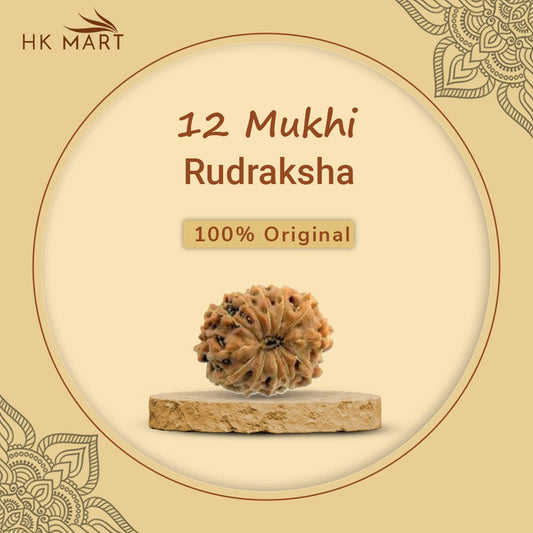 12 Mukhi Rudraksha several spiritual and therapeutic benefits