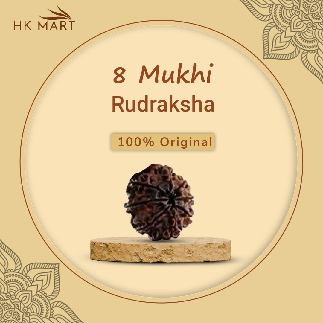 8 Mukhi prices and Benefits as per Vedas and Rashi – Hare krishna Mart