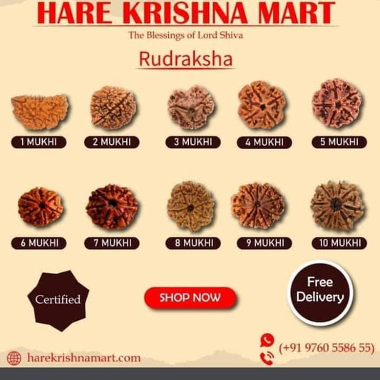 Rudraksha Energization - Mantras to Chant for Each Mukhi Rudraksha