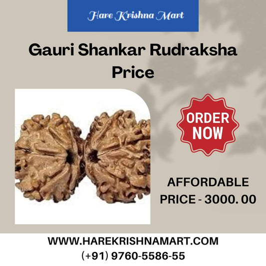 Gauri Shankar Rudraksha