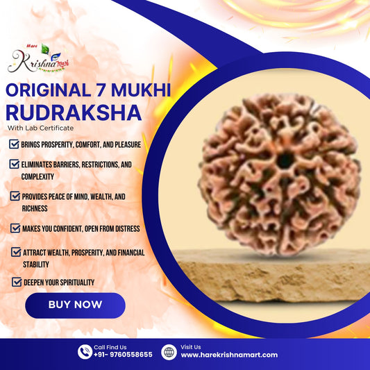 Revelations of Harmony: The Hidden Benefits of 7 Mukhi Rudraksha