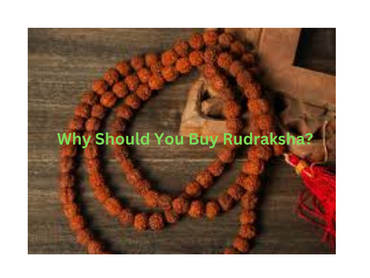 Rudraksha Online