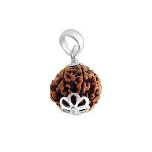 Magical Benefits Of 6 Mukhi Rudraksha And Prices