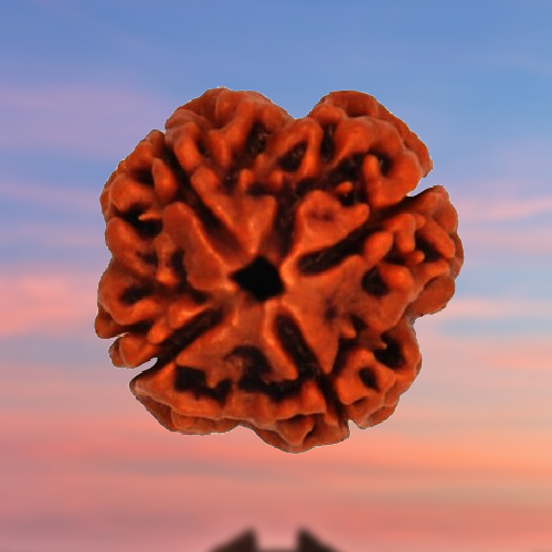 4 MUKHI RUDRAKSHA