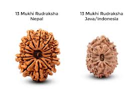 13 Mukhi Rudraksha: Nurturing Love, Enlightenment, and Spiritual Radiance