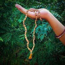 vaijayanti mala benefits