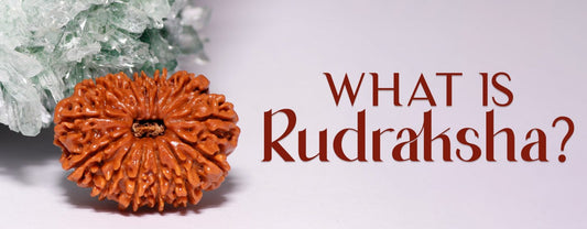 buy rudraksha online