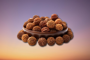 Rudraksha and Zodiac Synergy : Harness Your Star Power